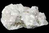 Calcite Crystal Cluster with Pyrite - Morocco #133709-1